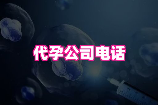 权威助孕网 2