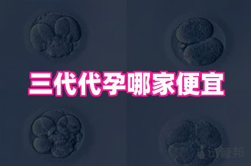 权威助孕网 3